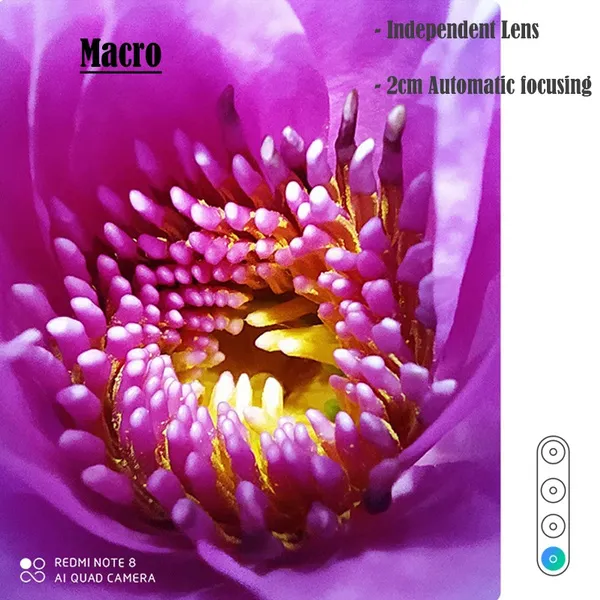 Xiaomi Redmi Note 8 Smartphone 6.3 Inch Qualcomm Snapdragon 665 6GB & 128GB 48WP 4 Individual Lens 4000mAh Battery 3 Colors